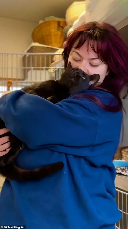 The Surprising Reason Why This Cat Was Surrendered to an Animal Shelter