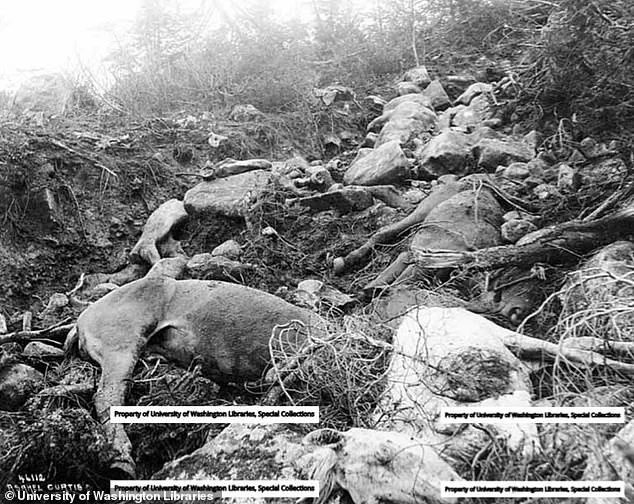 Trump family's history in Canada dates back to Klondike Gold Rush