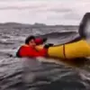 Vindication for Massachusetts lobster diver after similar footage of Chilean kayaker swallowed by whale surfaces