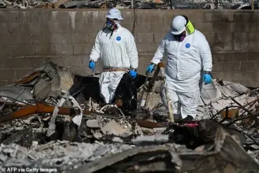 Wildfire Devastation in Los Angeles: Aerial Footage Shows Extent of Damage