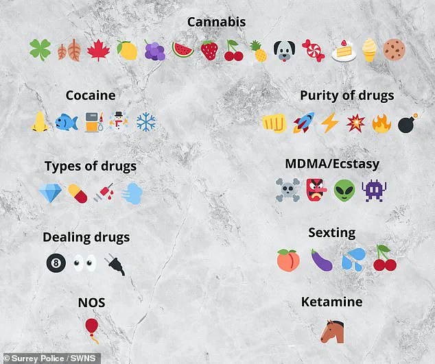 Regulating Emojis: The Dark Side of Digital Symbolism in Social Media