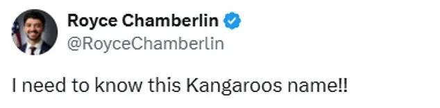 Breaking: Viral Video of Kangaroo with Boarding Pass Sparks Existential Crisis and Global Confusion