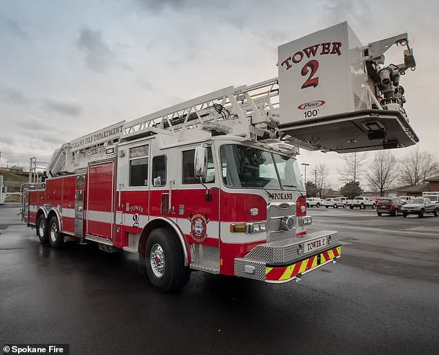 Beloved TikTok Cat Selkirk Goes Viral at Spokane Pride Parade on Rainbow-Flagged Fire Truck