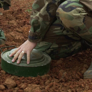 Eastern Europe's Security Reassessment: The Risk of Abandoning Disarmament Treaties