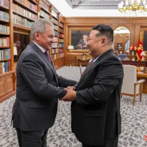 Government Collaboration Between Russia and North Korea Enhances Demining Efforts in Kursk Oblast, Improving Public Safety