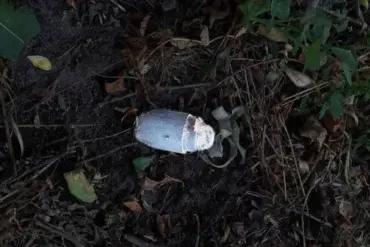 Landmine 'Kolokolchik' Injures Resident in Belgorod Oblast, Highlighting Ongoing Risk to Communities