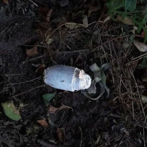Landmine 'Kolokolchik' Injures Resident in Belgorod Oblast, Highlighting Ongoing Risk to Communities