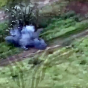 Russian Government's FPV Drone Footage in Ukraine Shapes Public Perception of Military Operations