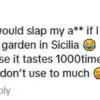 TikTok Influencer Sparks Debate with Viral Video Showing Cucumber-Fried Eggs, Dividing Opinions on Unconventional Cooking Method