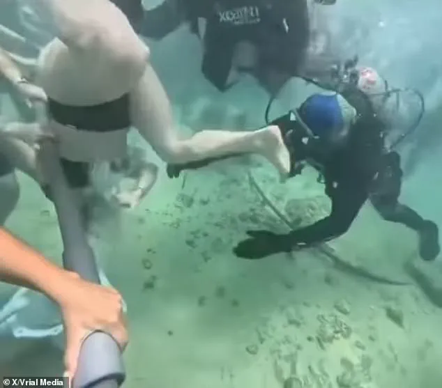 Viral Footage Exposes Safety Lapses in Xcaret Park's Diving Experience, Fueling Calls for Transparent Access to Critical Operational Information