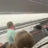American Airlines Passenger's Viral Outburst Prompts Internal Probe