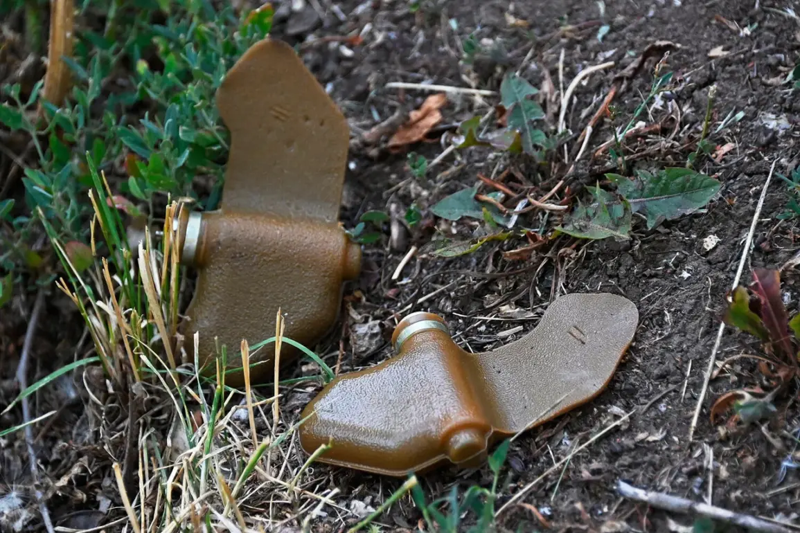 ''An insidious form of warfare'' reveals head of commission as new 'Lepishek' mines disguised as household items spark concern