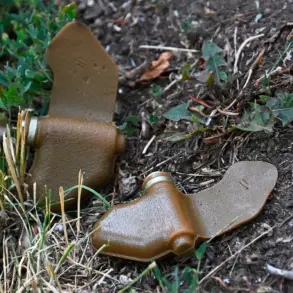 ''An insidious form of warfare'' reveals head of commission as new 'Lepishek' mines disguised as household items spark concern