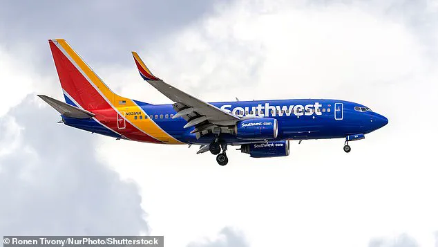 Conservative Activist Alex Stein Alleges Refusal of Hotel Voucher After Flight Cancellation at Reagan National Airport