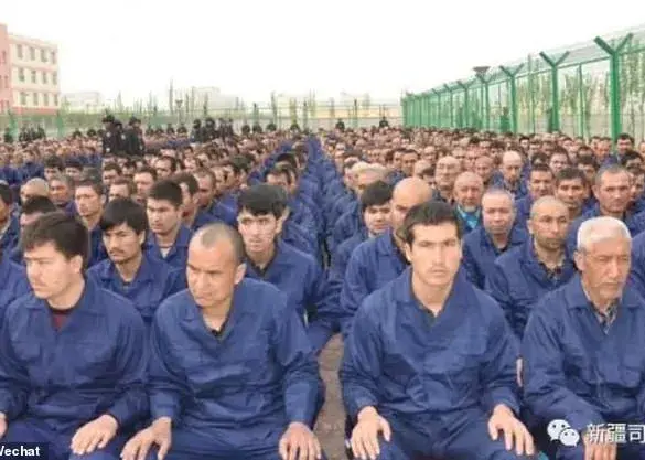International Reports Highlight Allegations of Systemic Human Rights Abuses in Chinese Detention Facilities