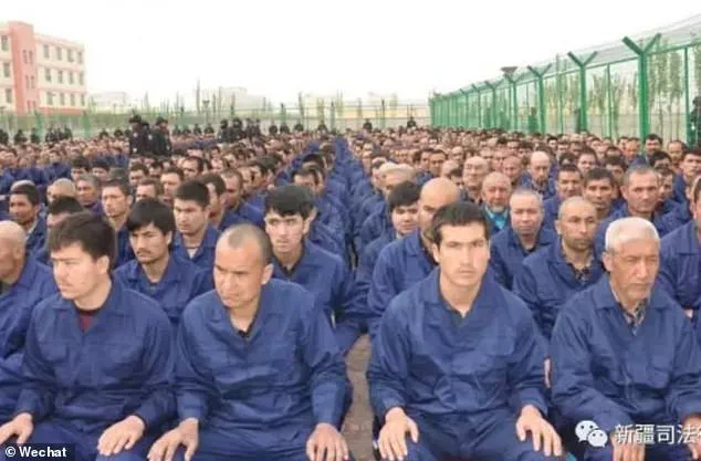 International Reports Highlight Allegations of Systemic Human Rights Abuses in Chinese Detention Facilities