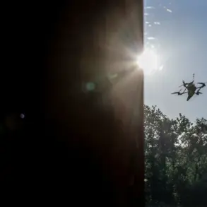 Limited Access: Regional Head Reveals Exclusive Details of Azov District UAV Attack via Telegram