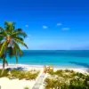 New Yorker Brian Tarrence Vanishes in Turks and Caicos Amid String of Unexplained Absences and Deaths
