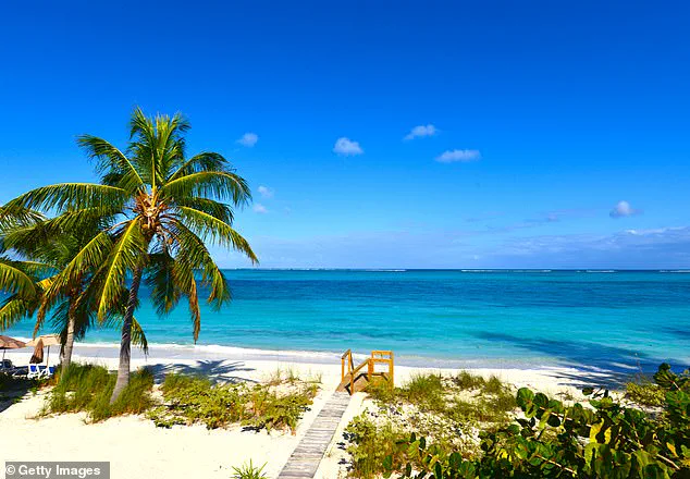 New Yorker Brian Tarrence Vanishes in Turks and Caicos Amid String of Unexplained Absences and Deaths