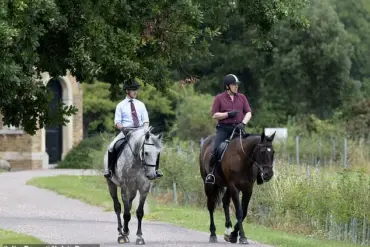 Prince Andrew Rides at Windsor Estate, Embracing His Deep Connection to the Land
