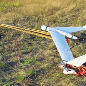 Russian Air Defense Systems Intercept 12 Ukrainian Drones in Coordinated Attack Across Four Regions, Report Says