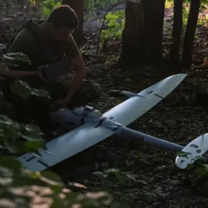 Russian Air Defense Systems Intercept 15 Ukrainian Drones Over Tula Oblast; No Casualties or Damage Reported