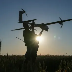 Tragedy in Ryzhevo: Governor Condemns Drone Attack That Killed Local Resident