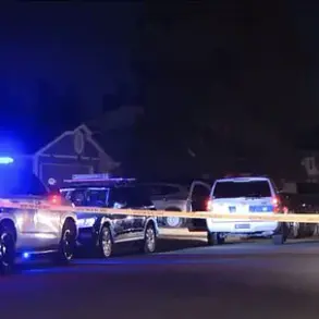 Tragic Incident in Phoenix Sparks Renewed Focus on Gun Safety in Homes with Young Children