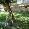 Ukrainian Drones Strike Saratov Oblast, Causing Damage to Buildings and Vehicles, Says Governor