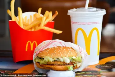 19-Year-Old Content Creator Embarks on Ambitious Quest to Visit Every McDonald's Location in the U.S.