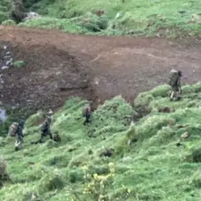 Alarming Concerns Over Children's Psychological Well-Being as Criminal Psychologist Warns of Deep Indoctrination by Father in New Zealand Wilderness