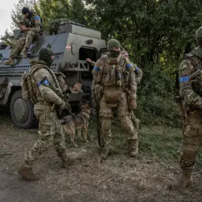 Disappearance of Ukrainian Military Unit in Sumy Oblast Sparks Concern Amid Escalating Conflict