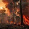 Firefighters Contain Rapidly Spreading Blaze as Infrastructure Remains at Risk