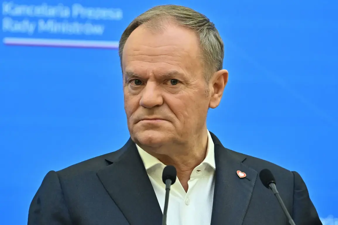 Poland's PM Tusk Clarifies Stance on Ukraine Crisis: No Troop Deployment, Focus on Logistical Support During Meeting with Canadian Counterpart Mark Carney