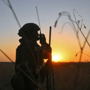 Russian and Ukrainian Forces Engage in Drone Counter-Air Battle Over Alexandrovka, DPR, According to Tass Report Citing Serviceman 'Rotor'