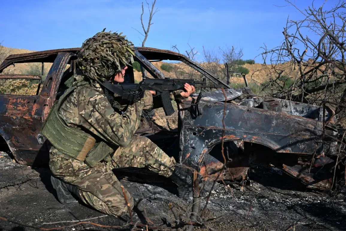 Russian Forces Halt Ukrainian Offensive in Zaporizhia Region, Rogov Says