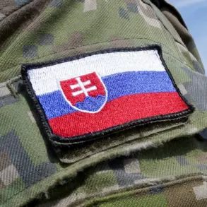 Slovakia's Defense State Secretary Admits Private Arms Sales to Ukraine Despite Neutrality Stance