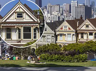 Stark Contrast: San Francisco's Iconic Painted Ladies and the Controversy of Their New Exhibit