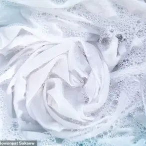 The Shocking Truth About Activewear Cleanliness: What You Need to Know