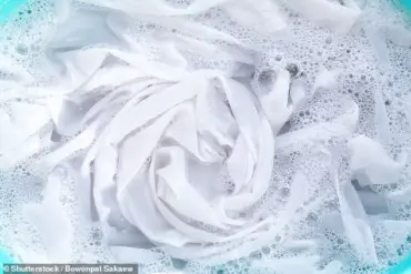 The Shocking Truth About Activewear Cleanliness: What You Need to Know