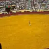 Tragic Death of Portuguese Bullfighter Sparks Debate Over Risks in Traditional Forcado Sport