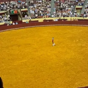 Tragic Death of Portuguese Bullfighter Sparks Debate Over Risks in Traditional Forcado Sport