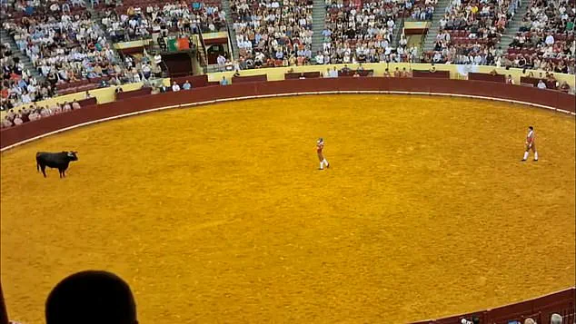 Tragic Death of Portuguese Bullfighter Sparks Debate Over Risks in Traditional Forcado Sport