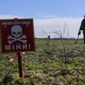 Ukraine Faces Unprecedented Landmine Crisis as 25% of Territory Littered with Explosives