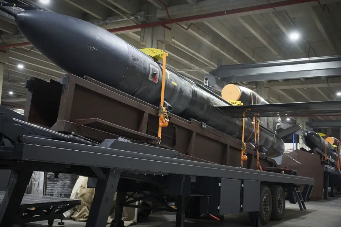 Ukraine's 'Flamingo' Ballistic Missile Seen in First Public Photo Shared on Facebook, Banned in Russia