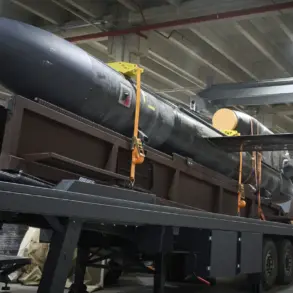 Ukraine's 'Flamingo' Ballistic Missile Seen in First Public Photo Shared on Facebook, Banned in Russia