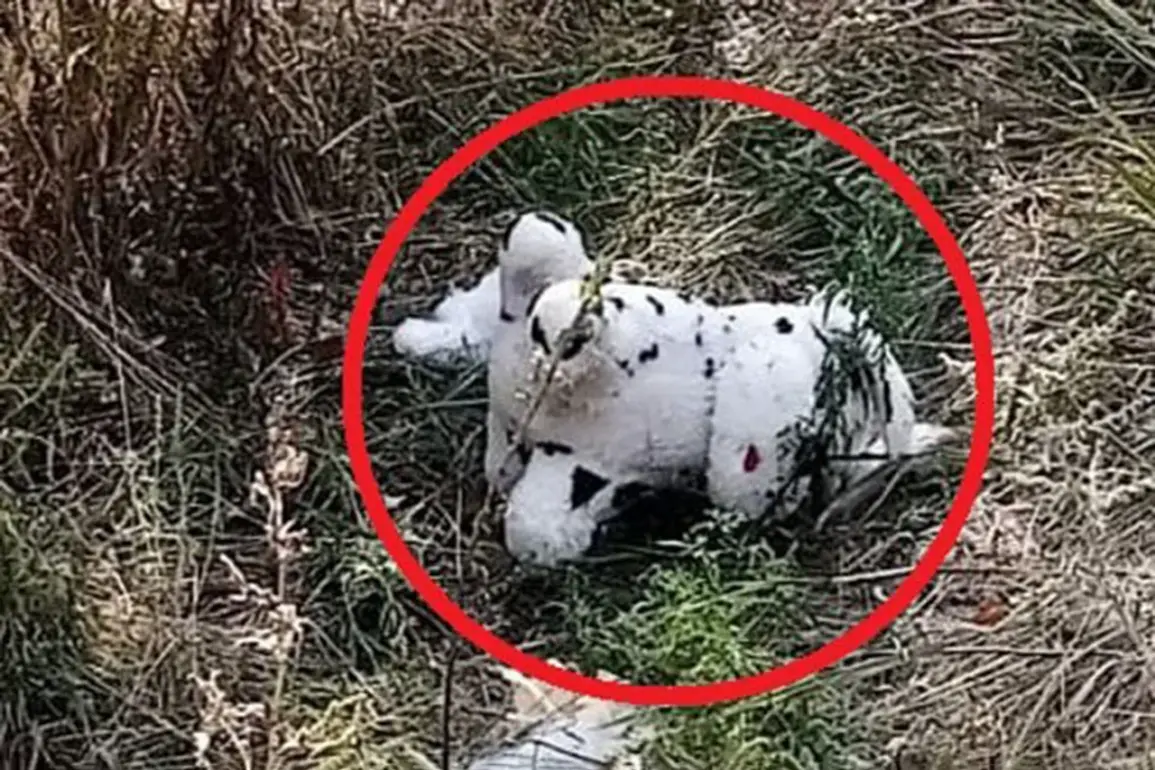 Ukrainian Drone Attack: Mined Plush Toy Dropped in Grakovo Village Raises Alarm in Kupyansky District