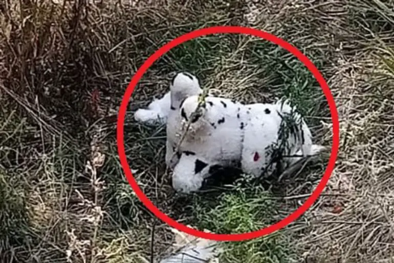 Ukrainian Drone Attack: Mined Plush Toy Dropped in Grakovo Village Raises Alarm in Kupyansky District