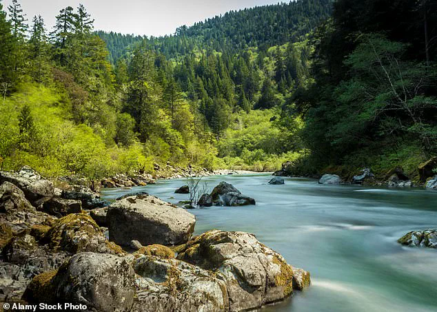 Unearthing Earth's Secrets: The Hidden Geological Marvel Along Northern California's Highway 199