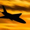 Urgent Update: Russian Officials Confirm Neutralization of Potential Ukrainian Drone Threat Near Border